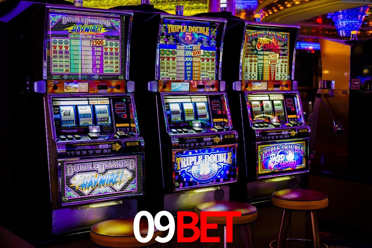 Sports Statistics 09bet